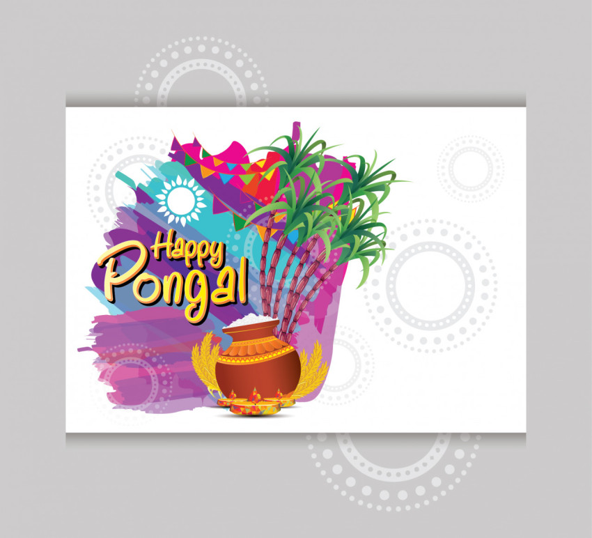 Pongal Greeting Design Template Vector