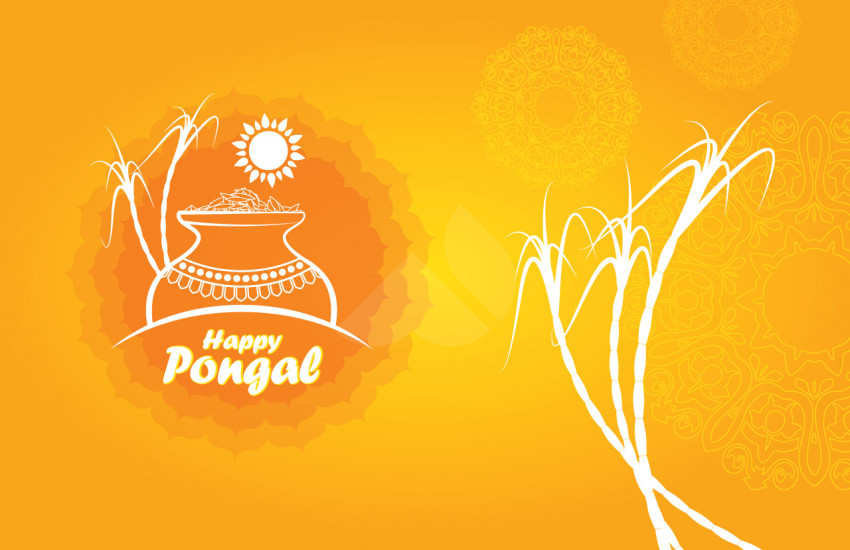 Happy Pongal Wishes Greeting Background